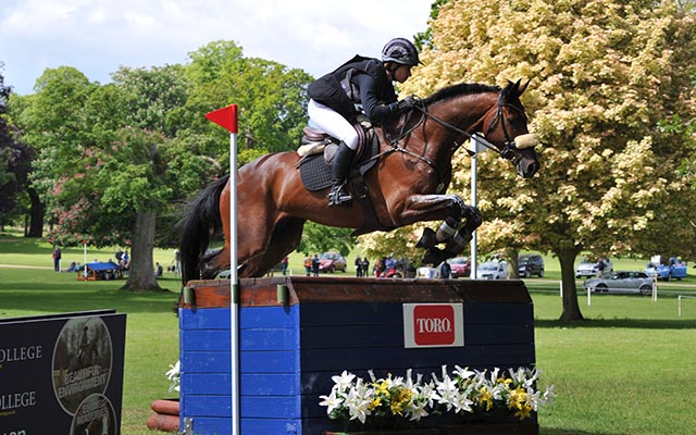 Blenheim Horse Trials entries Seigneur Medicott