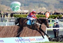 sprinter_sacre_13-3-13-2.jpg