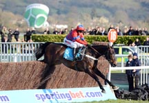 sprinter_sacre_13-3-13-2.jpg
