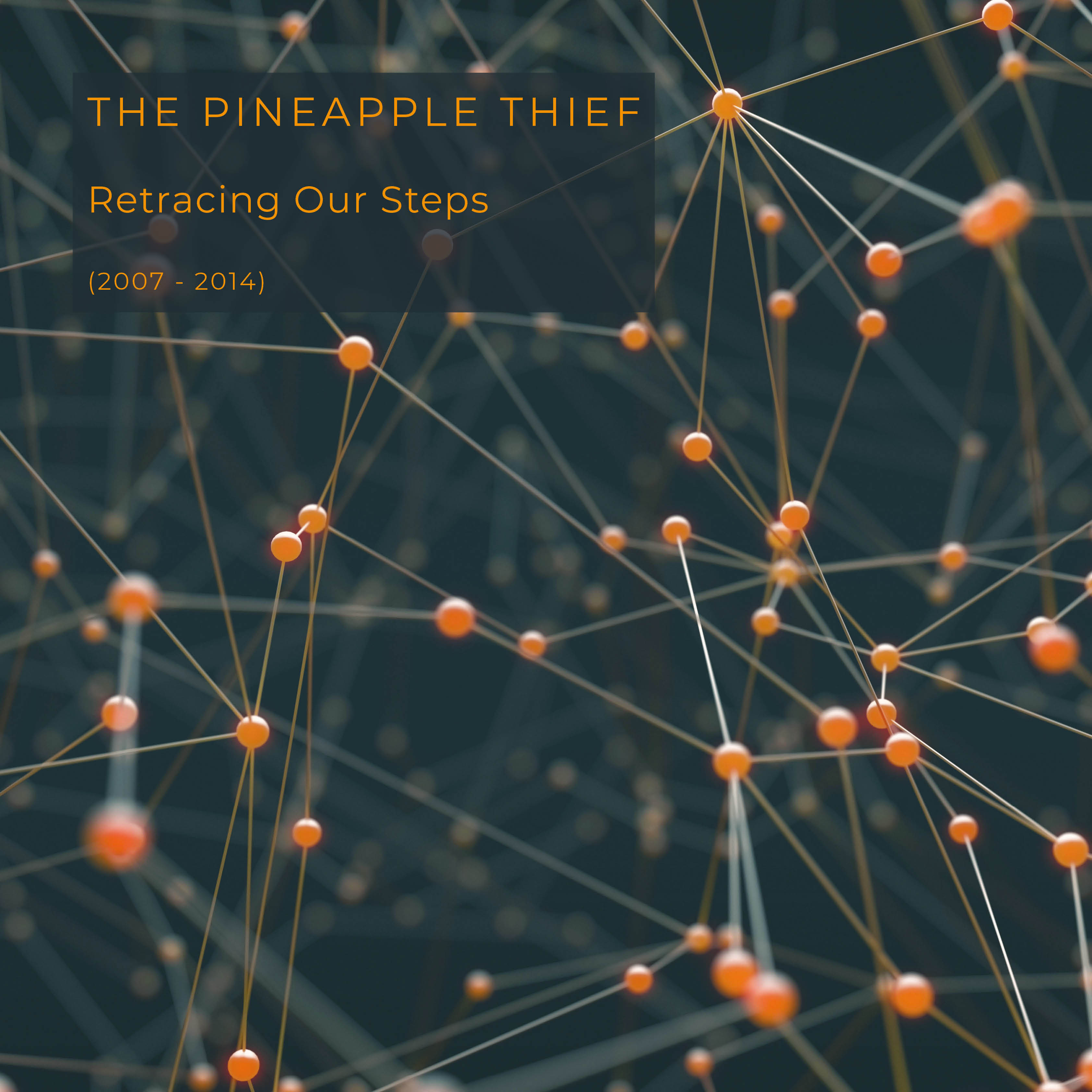 The Pineapple Thief Retracing Our Steps cover art