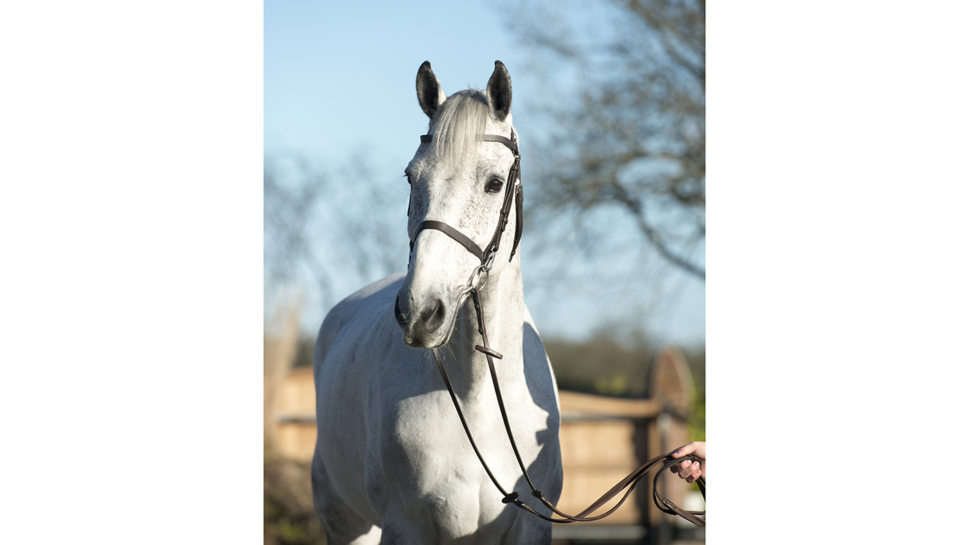 Harry Charles 28 01 2019 Sieco II
