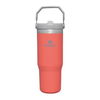 a photo of the Stanley Classice Iceflow Flip Straw Tumbler
