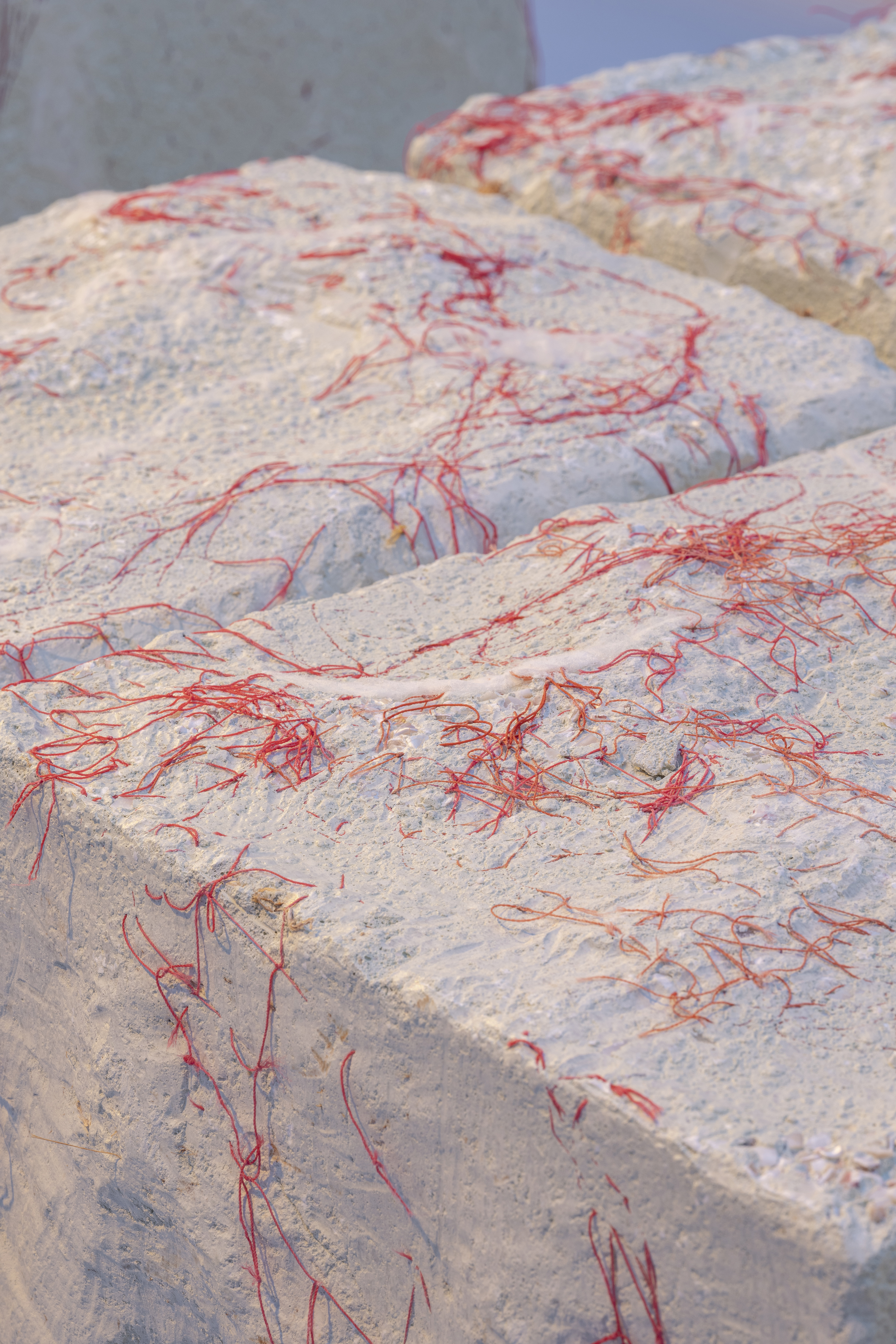 Patricia Urquiola works displayed in exhibition space