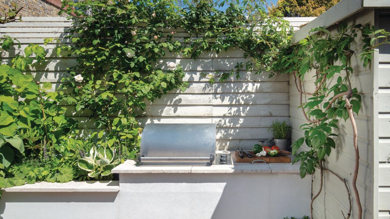 Wall beside raised beds with a stainless steel barbeque inset, roses and fig growing up sheds. Susan and Henry Parker&#039;s garden at their four bedroom Victorian house in Fulham, London.