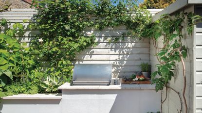 Wall beside raised beds with a stainless steel barbeque inset, roses and fig growing up sheds. Susan and Henry Parker's garden at their four bedroom Victorian house in Fulham, London.