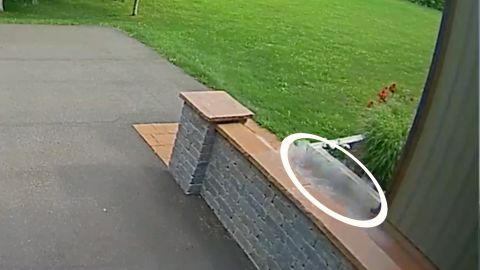 Watch (and hear!) a meteorite impact on doorbell camera video in a