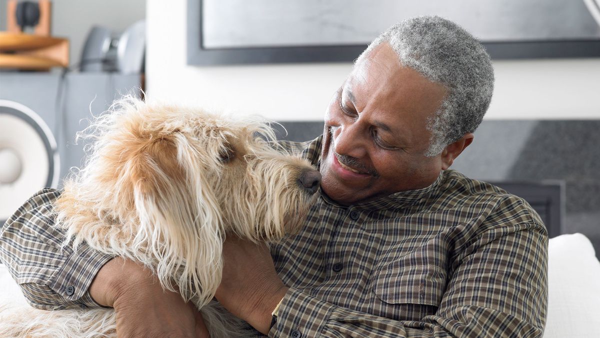 The best way to stay on top of pet hair, according to Dyson engineers