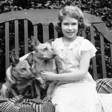 Queen Elizabeth as a child in 1936, sitting on a bench with a dog
