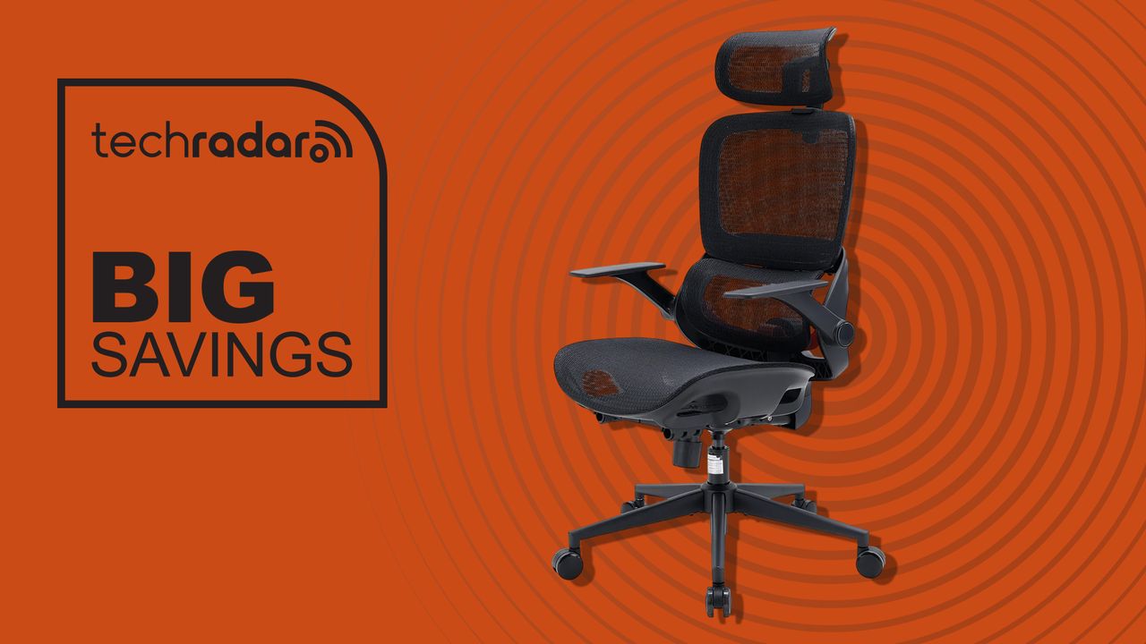 I stunned the budget Sihoo B100 has adaptive lumbar support you only find on way more expensive office chairs