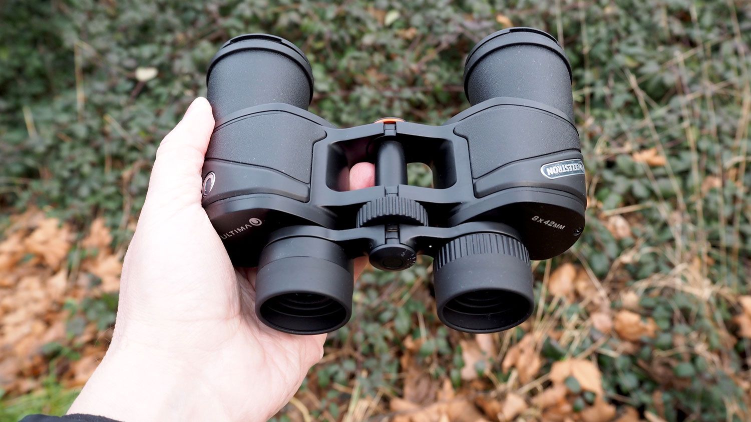 Best binoculars for birdwatching 2024 best in the nest T3