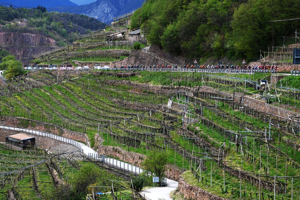 PREDAZZO ITALY APRIL 20 Tao Geoghegan Hart of United Kingdom and Team INEOS Grenadiers Green Leader Jersey Alexander Cepeda of Ecuador and Team EF EducationEasypost Blue Mountain Jersey and a general view of the peloton passing through a vineyards field during the 46th Tour of the Alps 2023 Stage 4 a 1529km stage from Rovereto to Predazzo 1023m on April 20 2023 in Predazzo Italy Photo by Tim de WaeleGetty Images