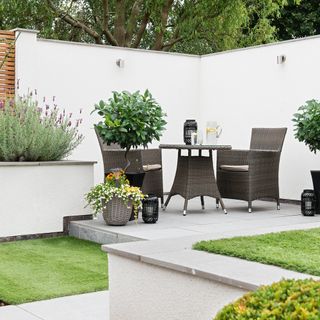 garden with grass lawn and flower plants in pots