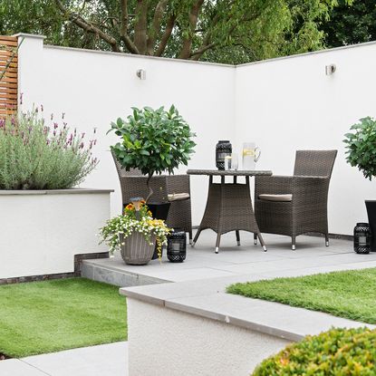 garden with grass lawn and flower plants in pots