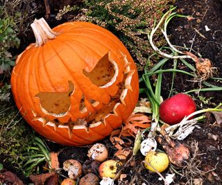 Jack-o'-lantern in compost pile