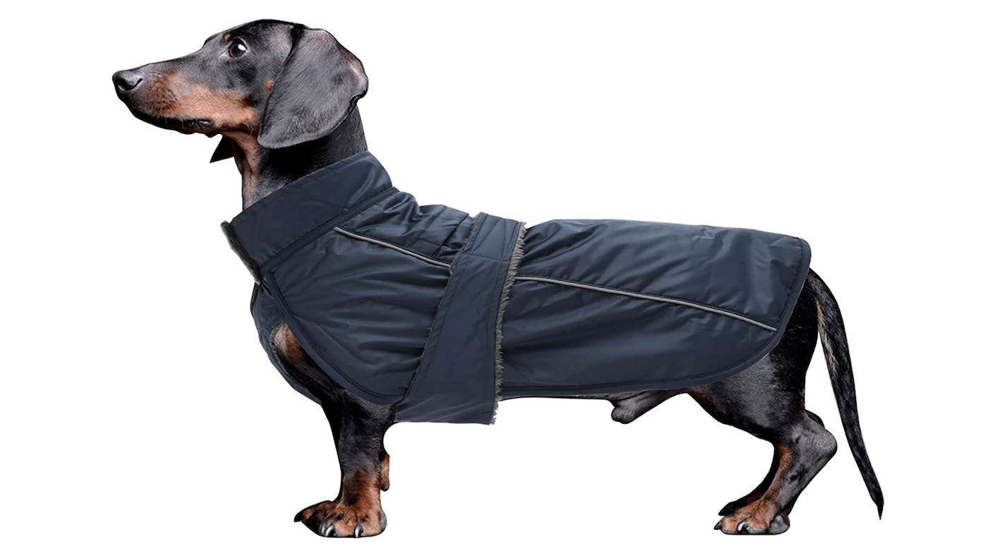 Morezi dachshund waterproof coat