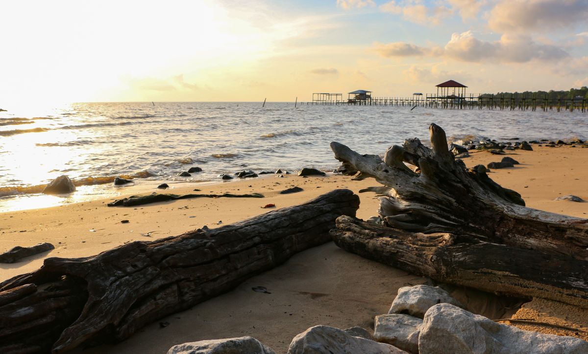 A photograph shows the Mobile, Alabama shoreline.