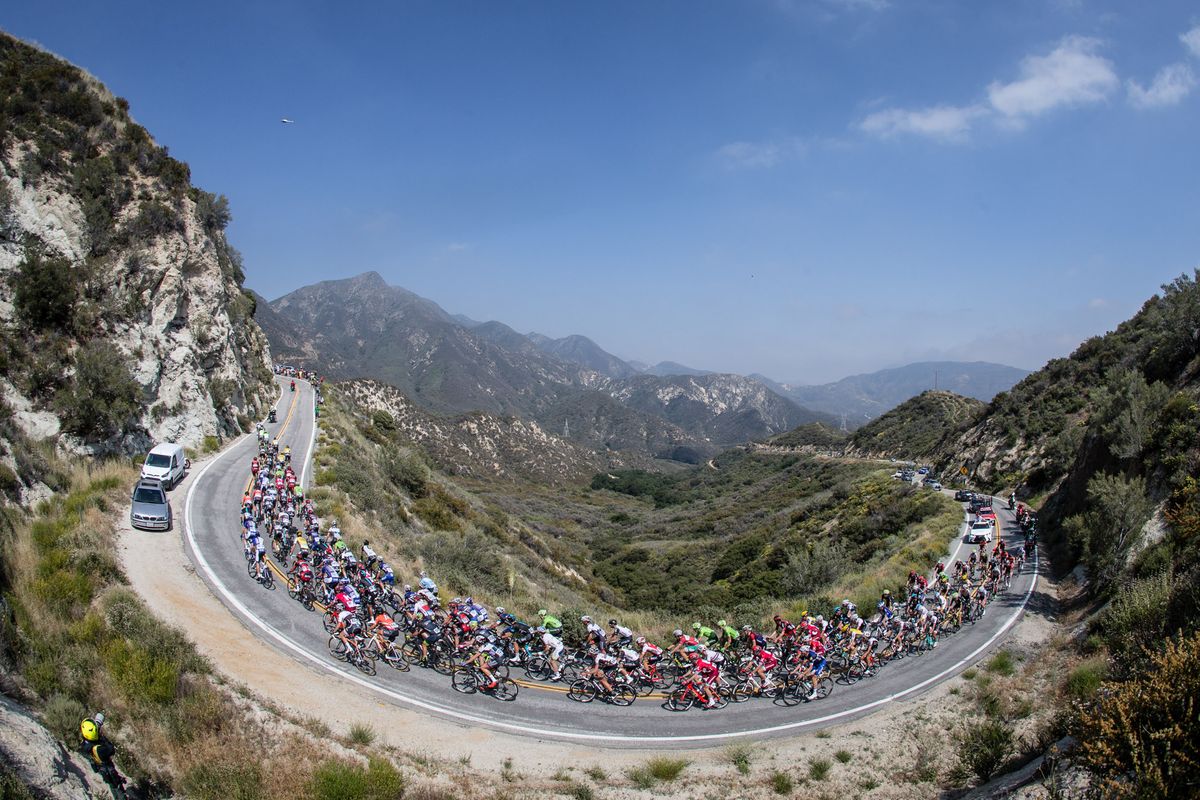 The peloton climbs the Angeles Crest Highway during stage 2 of the Tour of California.
