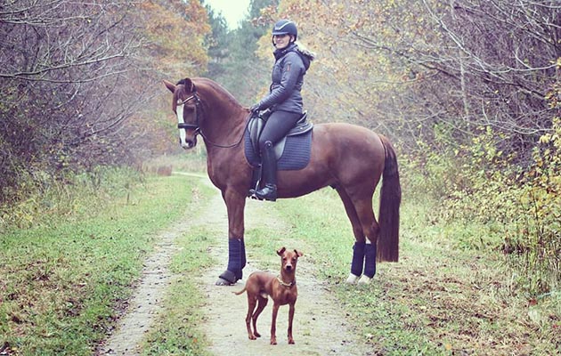 “Here’s my 14.2hh warmblood pony by Negro called Londonn and my German Pinscher Ronald” — Lauren Essex