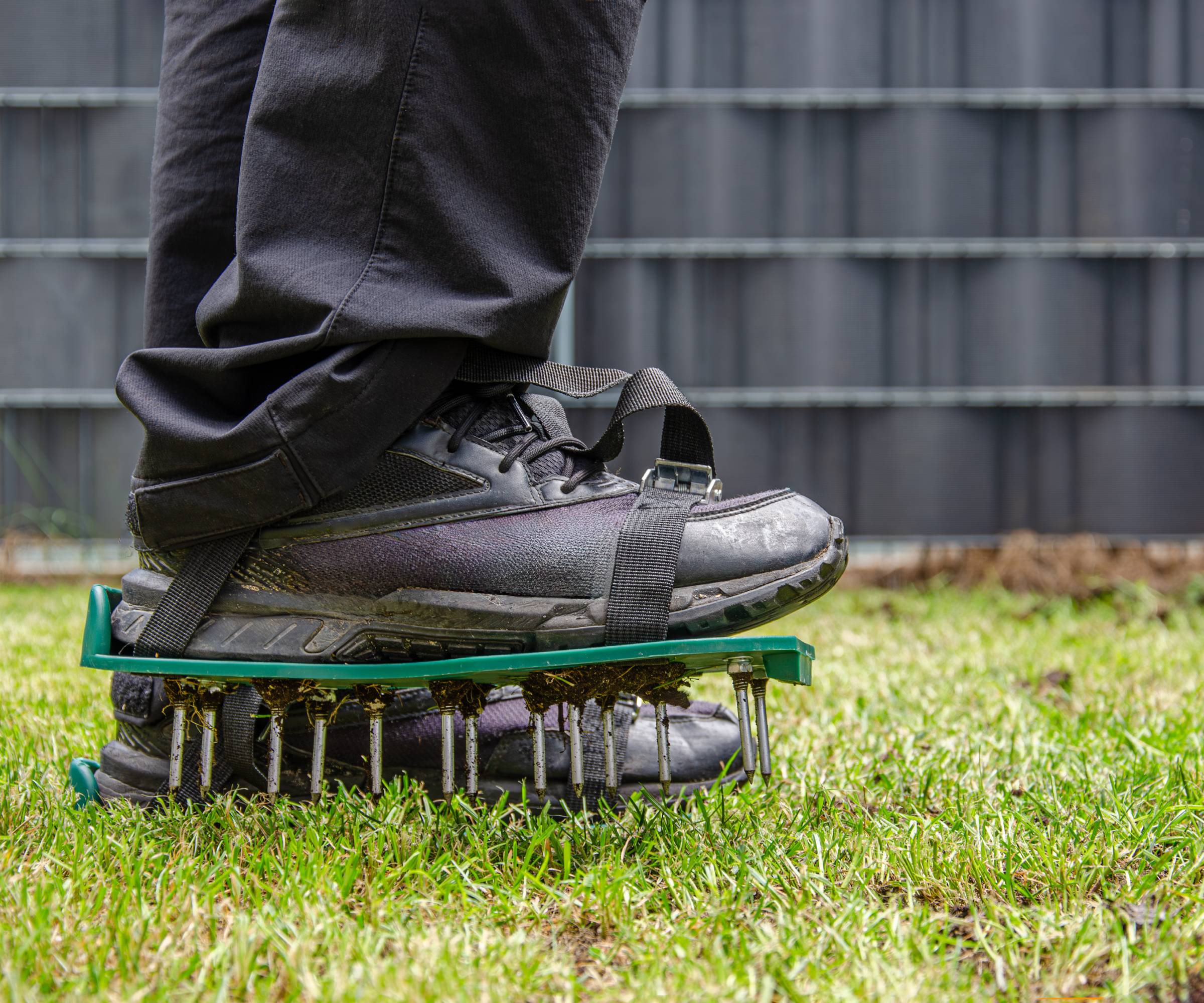Feet wearing aeration spike shoes