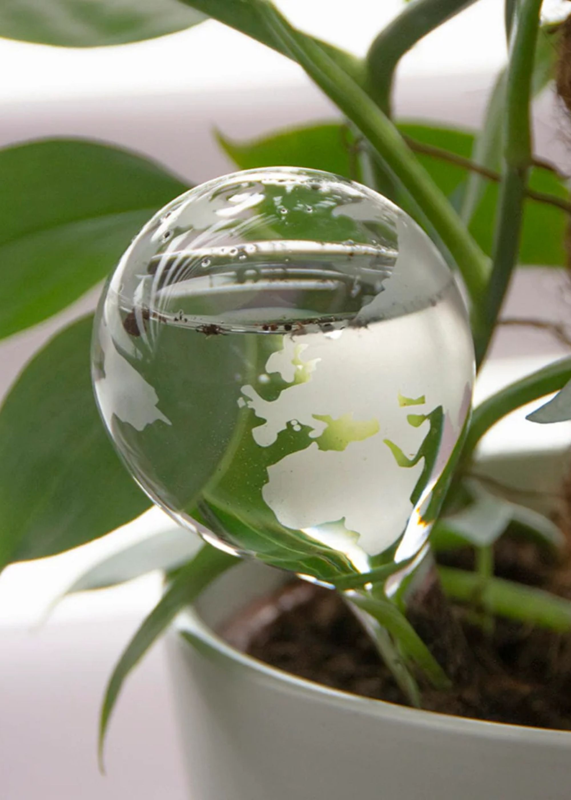 Esschert's Garden, Glass Plant Waterering Globe (earth Print)