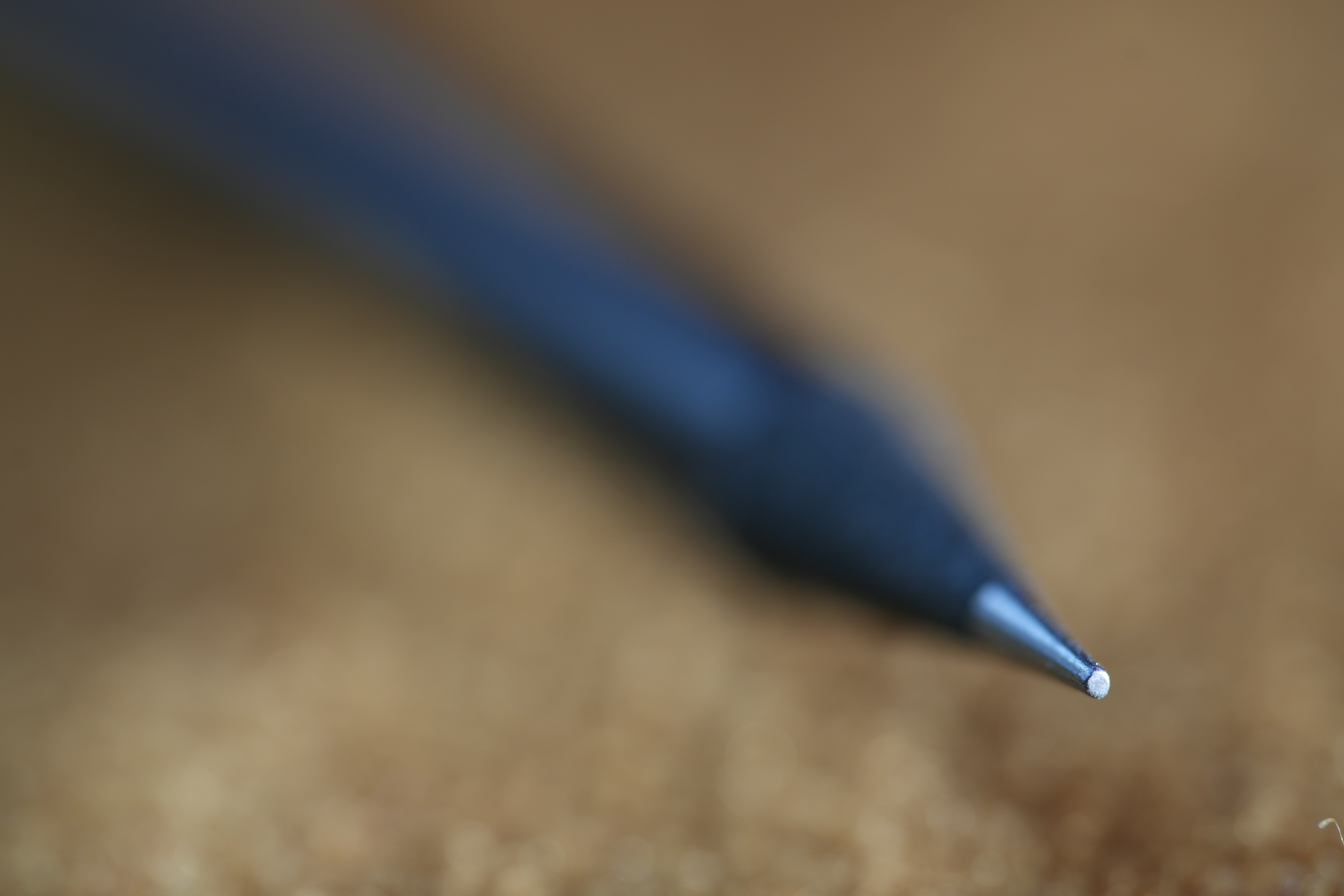 Sample image taken with the Sony FE 100mm f/2.8 Macro GM OSS lens using a Sony A7R V