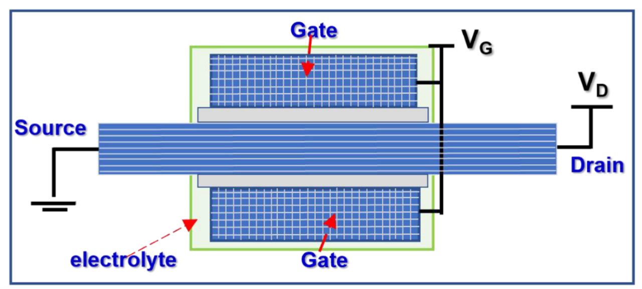 Wood transistors