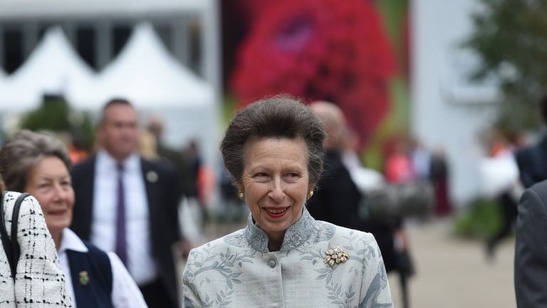 Princess Anne hailed by royal fans after accepting new RAF role—'she never disappoints'