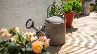 picture of metal watering can in garden