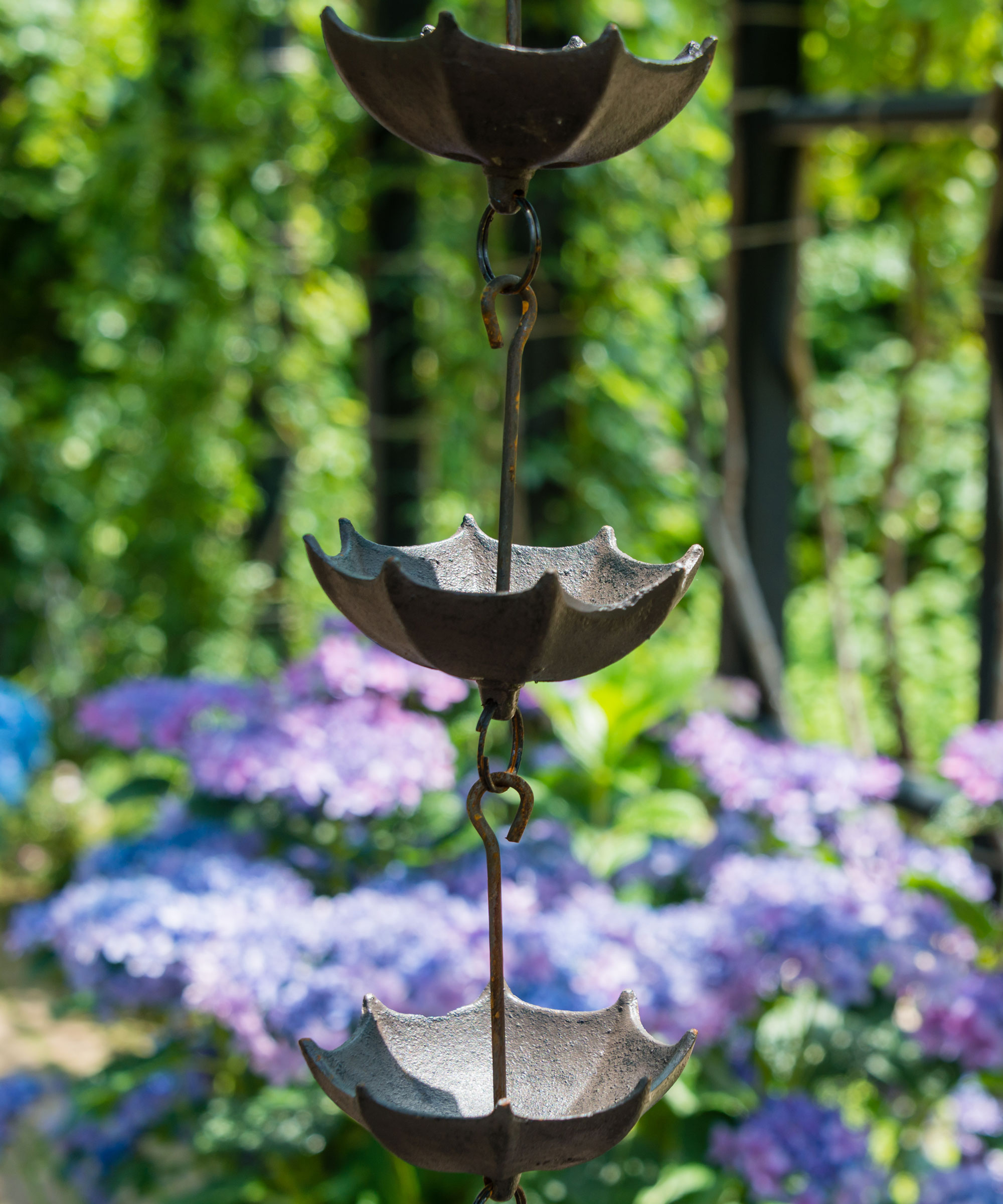 rain chain design with cups to catch rainwater, in a bed of blue hydrangeas