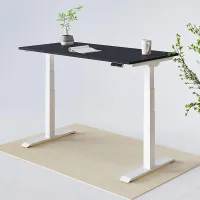 Flexispot E7 Standing Desk with chipboard top