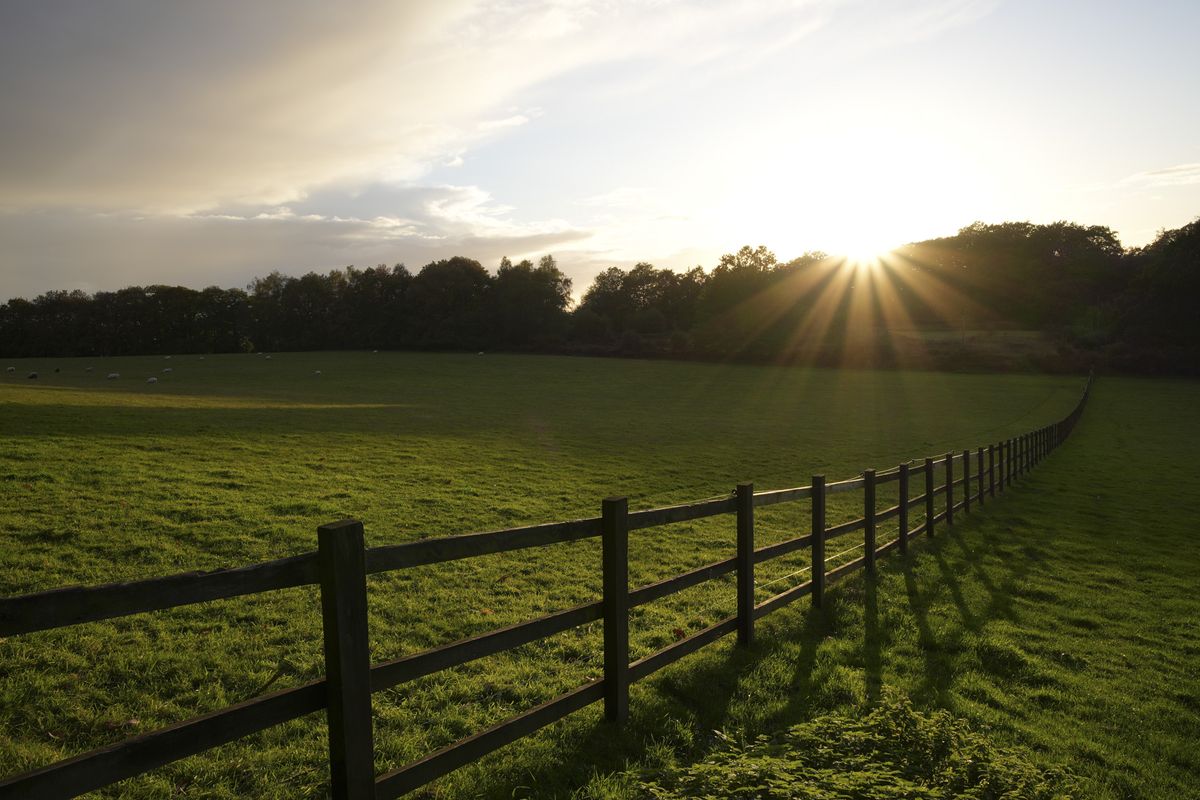 Sunset over a field with wooden fence casting shadows, taken with the Sigma 10-18mm f2.8 DC DN lens for APS-C mirrorless