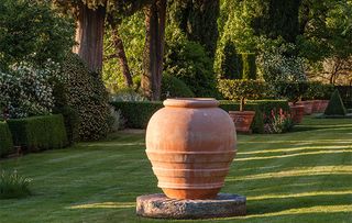 Terracotta pot