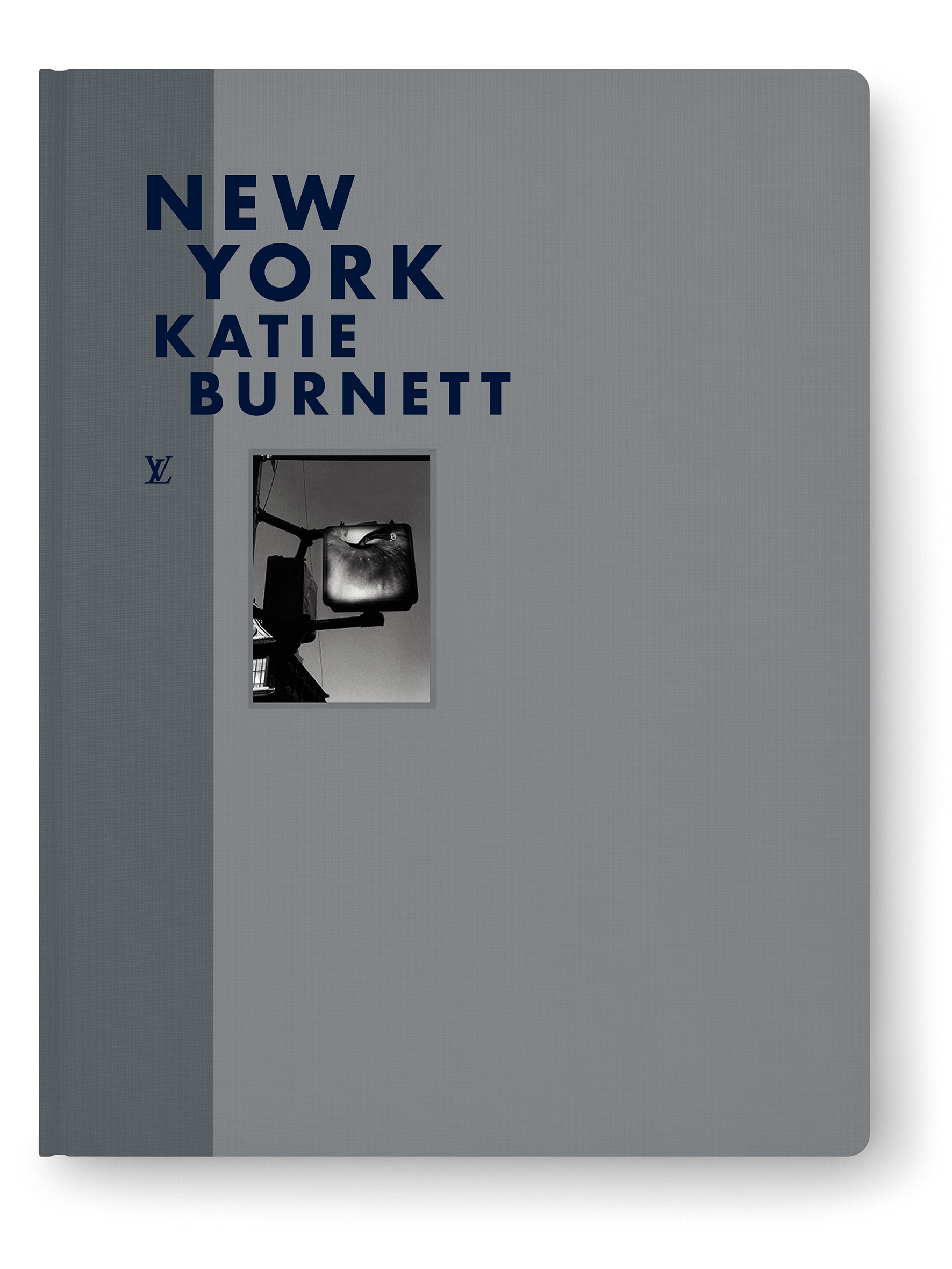 NEW LOUIS VUITTON BOOK SERIES