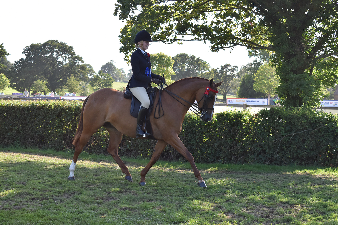 Roseberry Fascinator was among the 2023 Royal International Horse Show winners