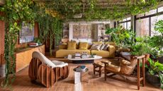 A living room with trailing vines across ceiling beams and an indoor container garden