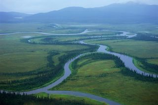 tributaries flowing into Bristol Bay