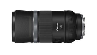 best lenses for bird photography: Canon RF 600mm f/11 IS STM
