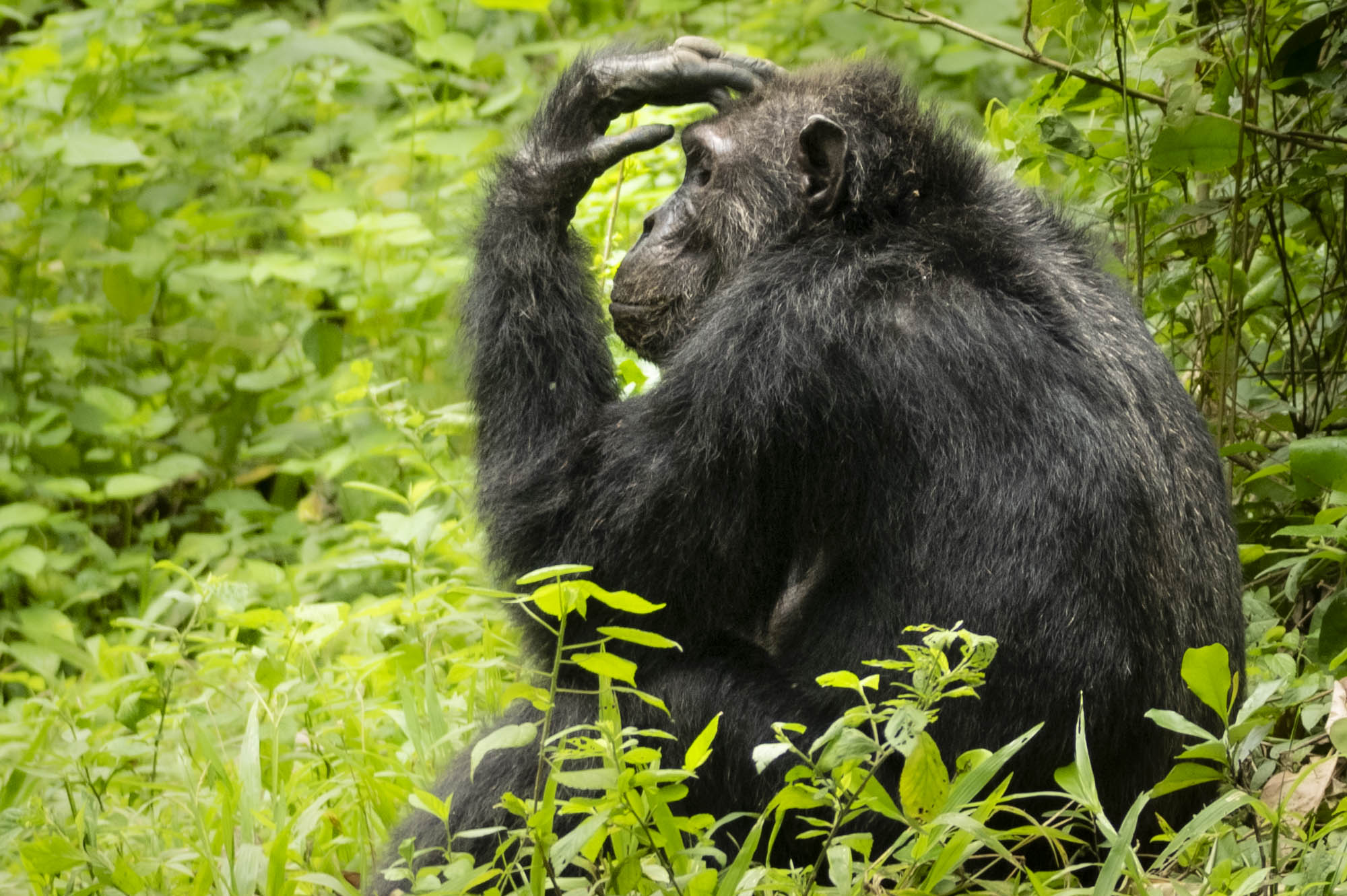 GuruShots - Nature March 2026