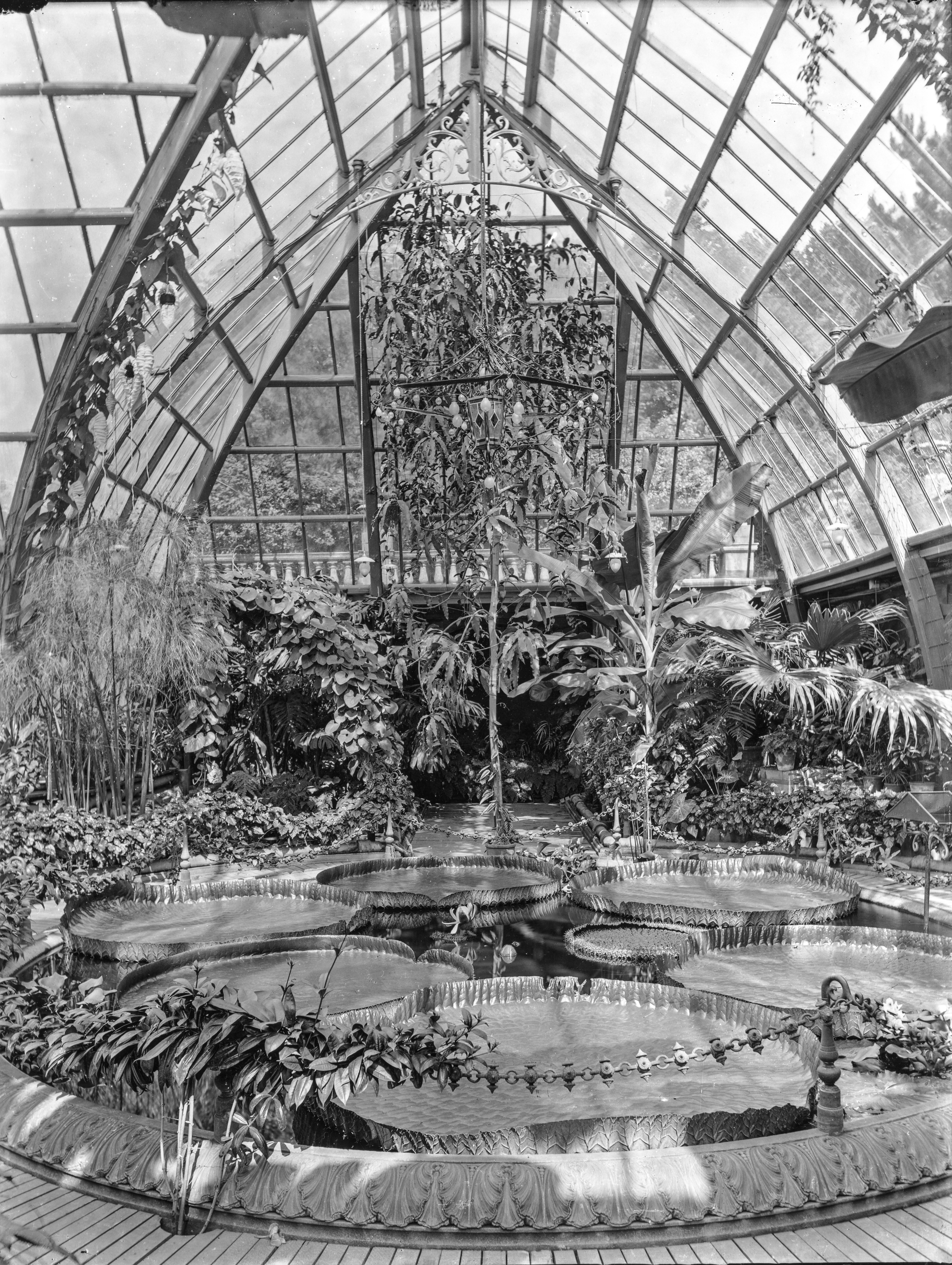 A manor house with large, Victorian greenhouses and a rare collection of plants