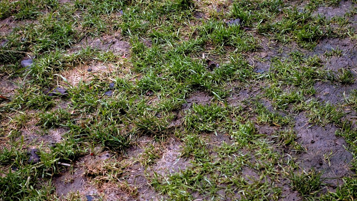 A photo of a flooded out yard 