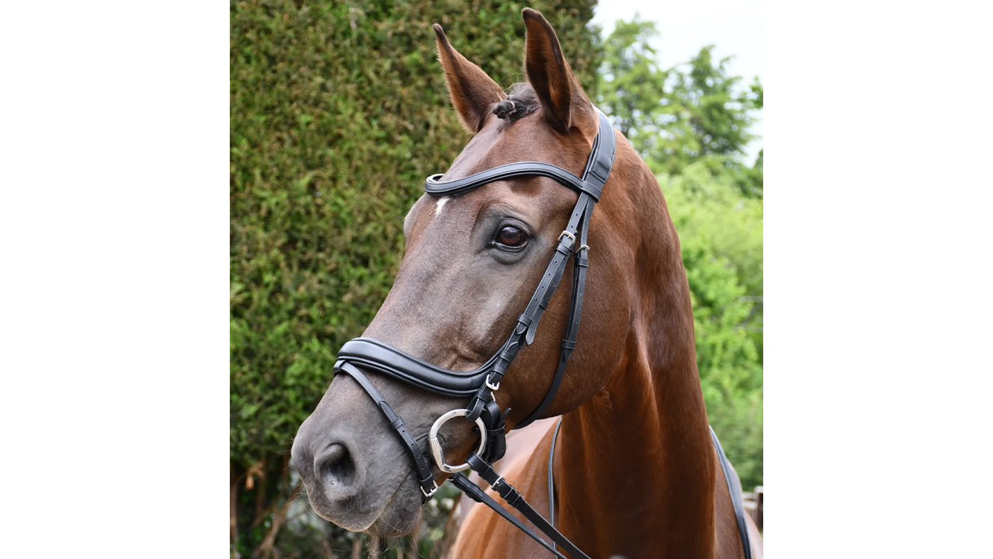 Rhinegold Softee Padded Leather Pro-Anatomical Bridle