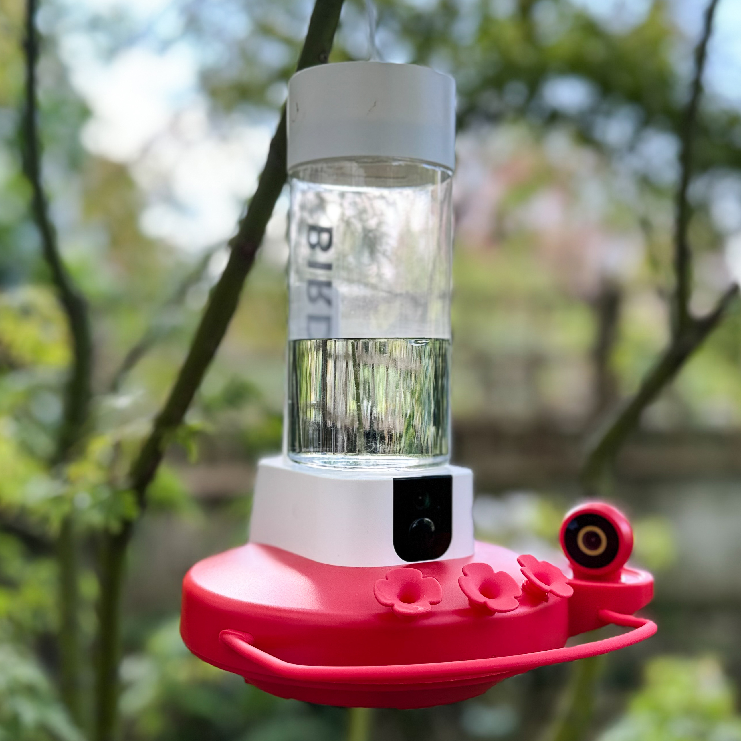 The Birdfy Hum feeder hanging from a tree