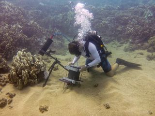 Scripps Institution of Oceanography doctoral student Andrew Mullen positions the Benthic Underwater Microscope (BUM) to study corals.