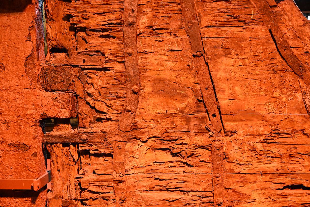 Nikon Z 24-105mm f/4-7.1 sample shot