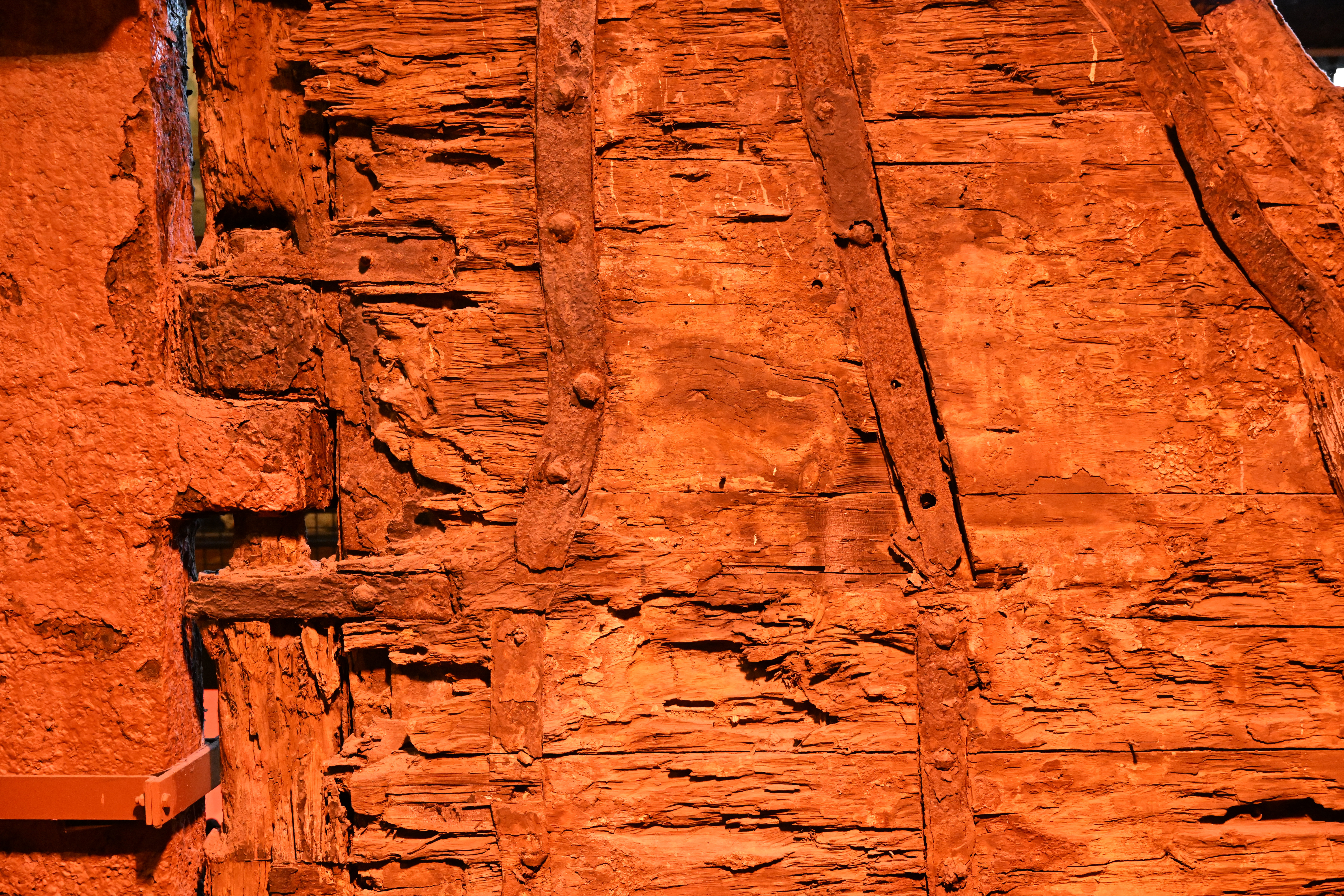 Nikon Z 24-105mm f/4-7.1 sample shot