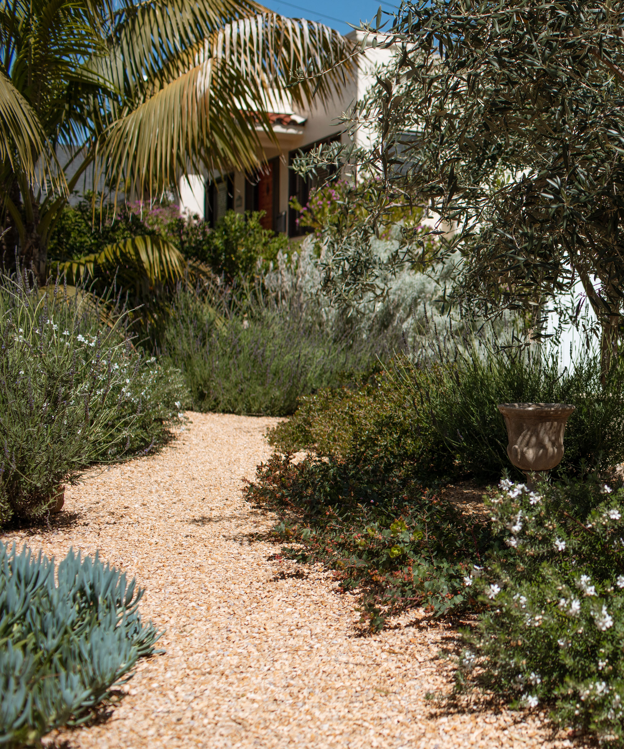 gravel path with shrubs and trees in small garden design