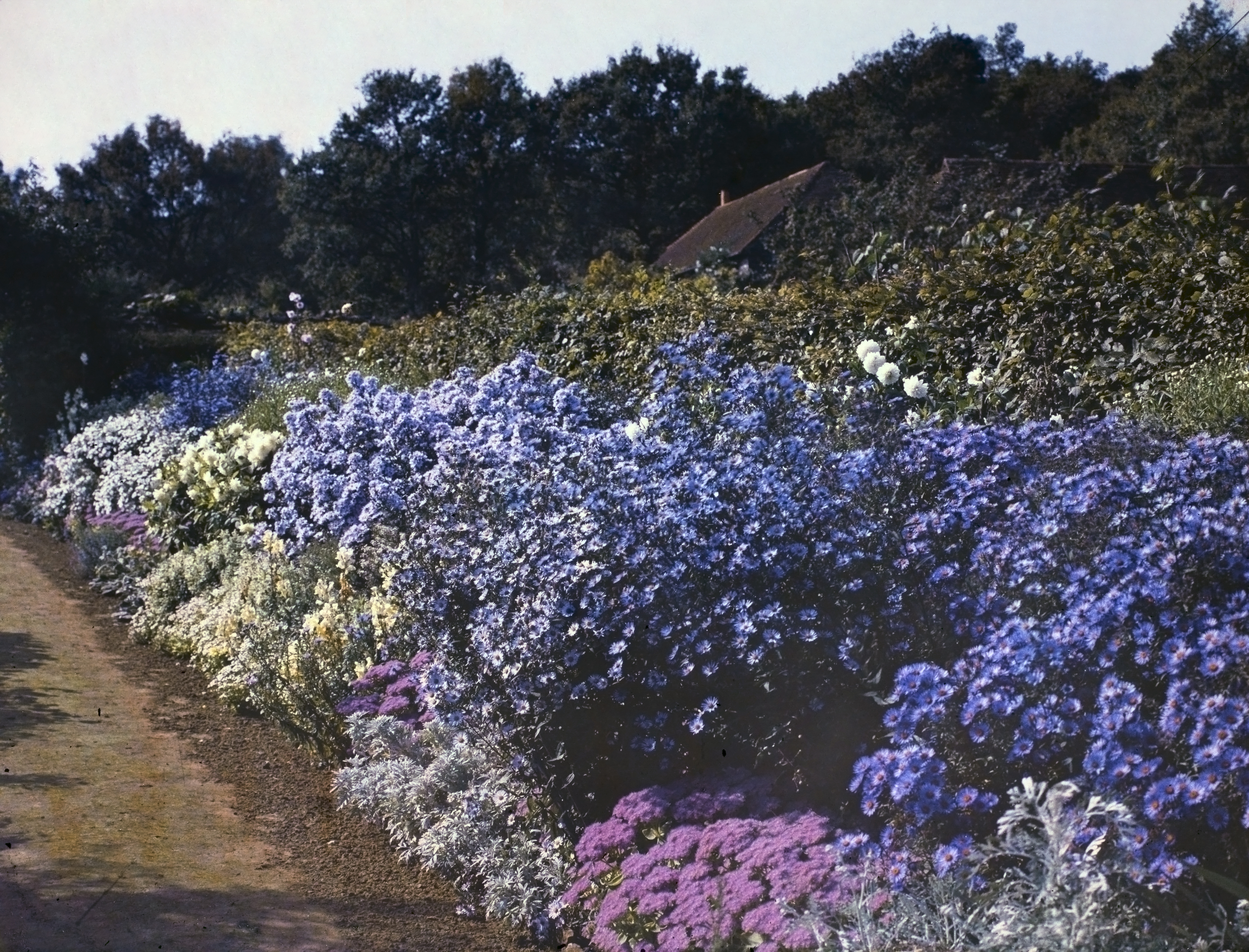 Munstead Wood garden