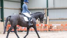 Retraining of Racehorses awards Daffern Seal