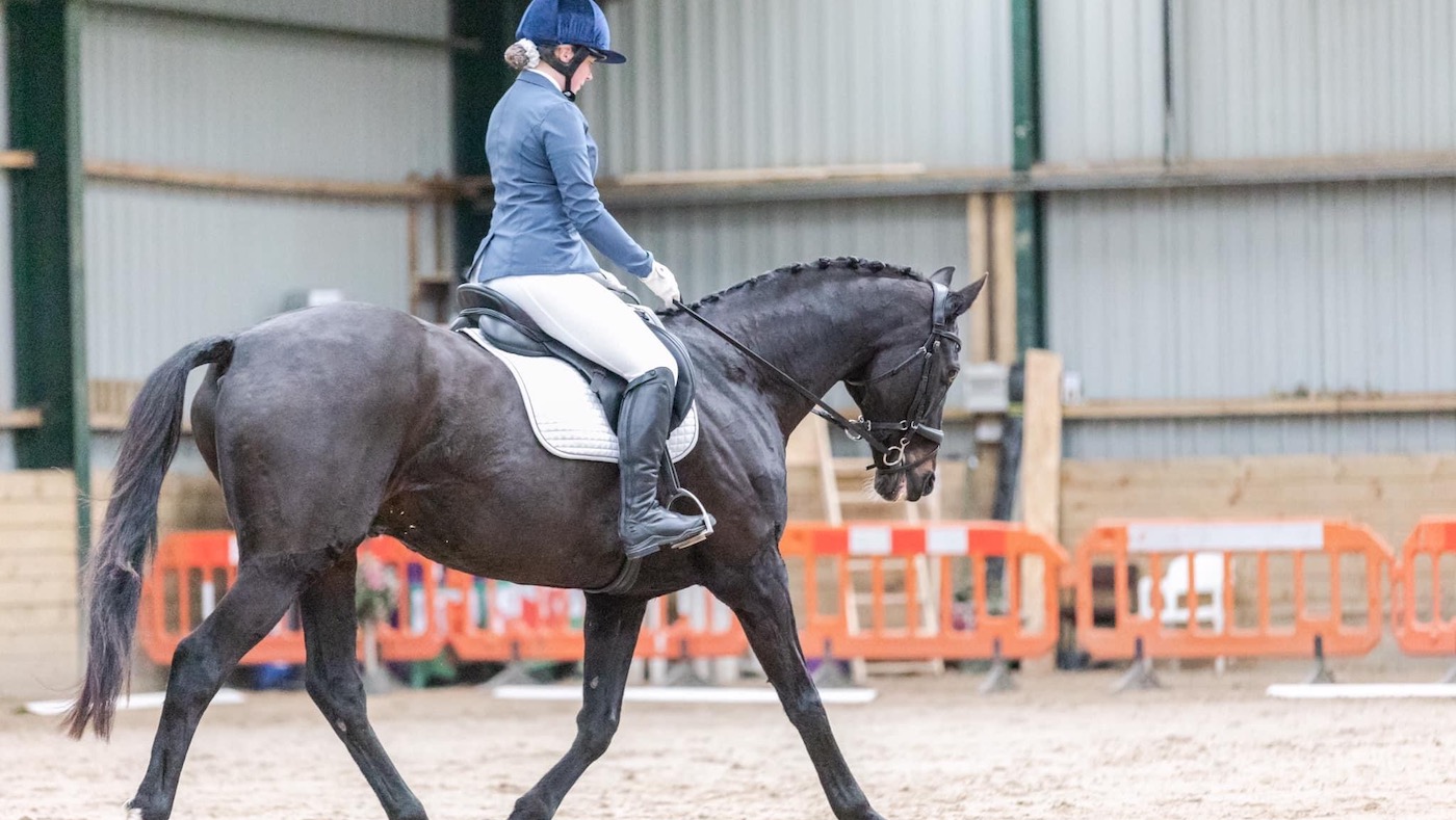 Retraining of Racehorses awards Daffern Seal