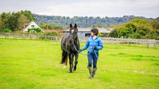 Woman in blue leading a black horse in from a field